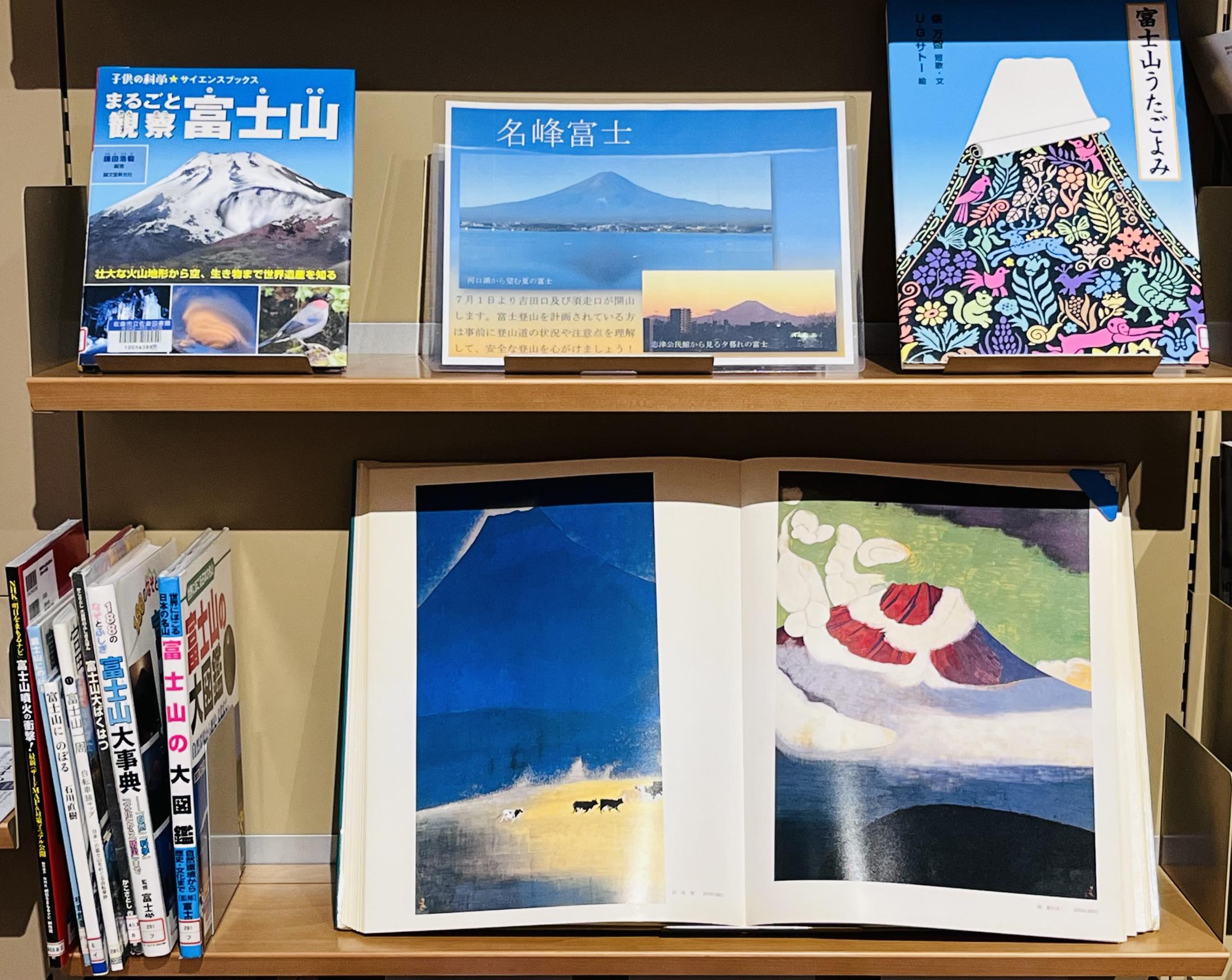 一般展示の画像1 一般展示の画像1