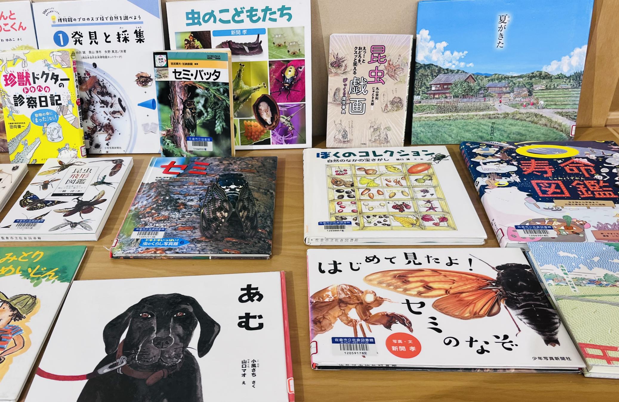 セミの本の画像2 セミの本の画像2