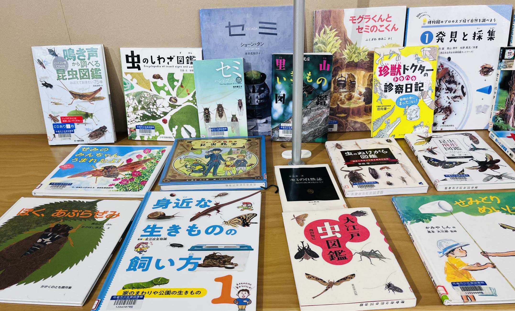 セミの本の画像1 セミの本の画像1