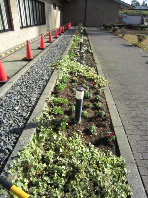 植え付け直後の花壇です