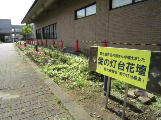 植え付け直後の花壇です