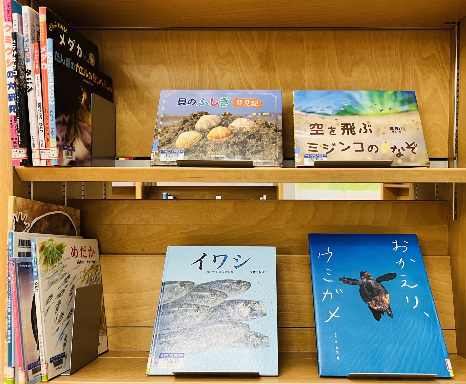 みずのいきもの展示本の画像2