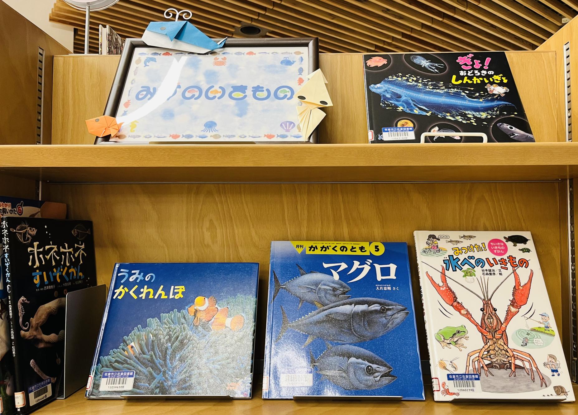 みずのいきもの展示本の画像1