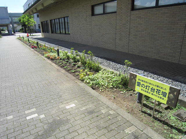 植え付け直後の花壇です