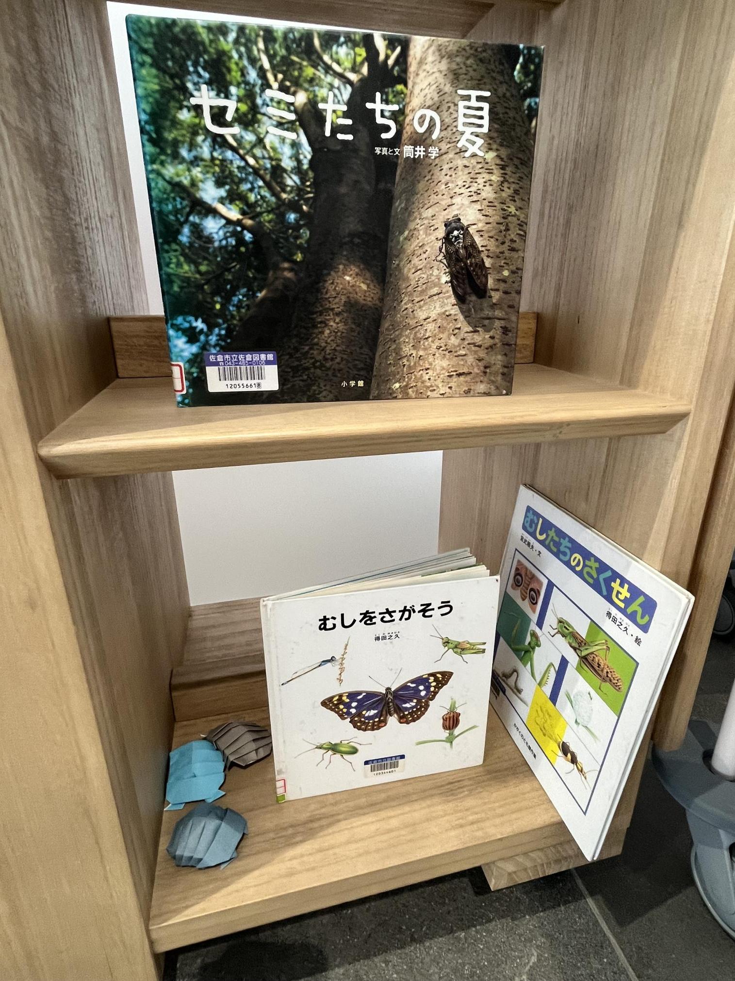 本の展示画像3