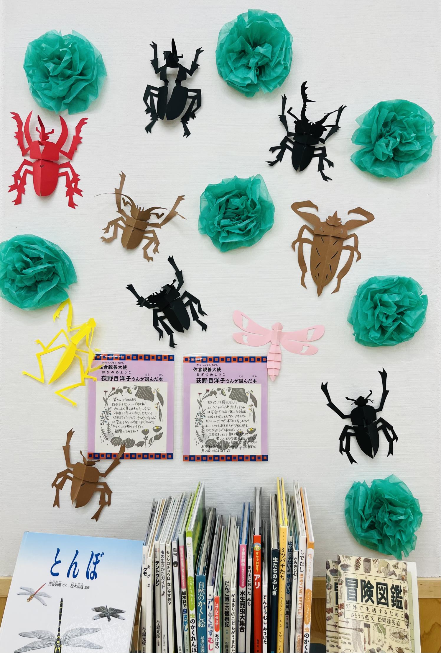 虫の展示