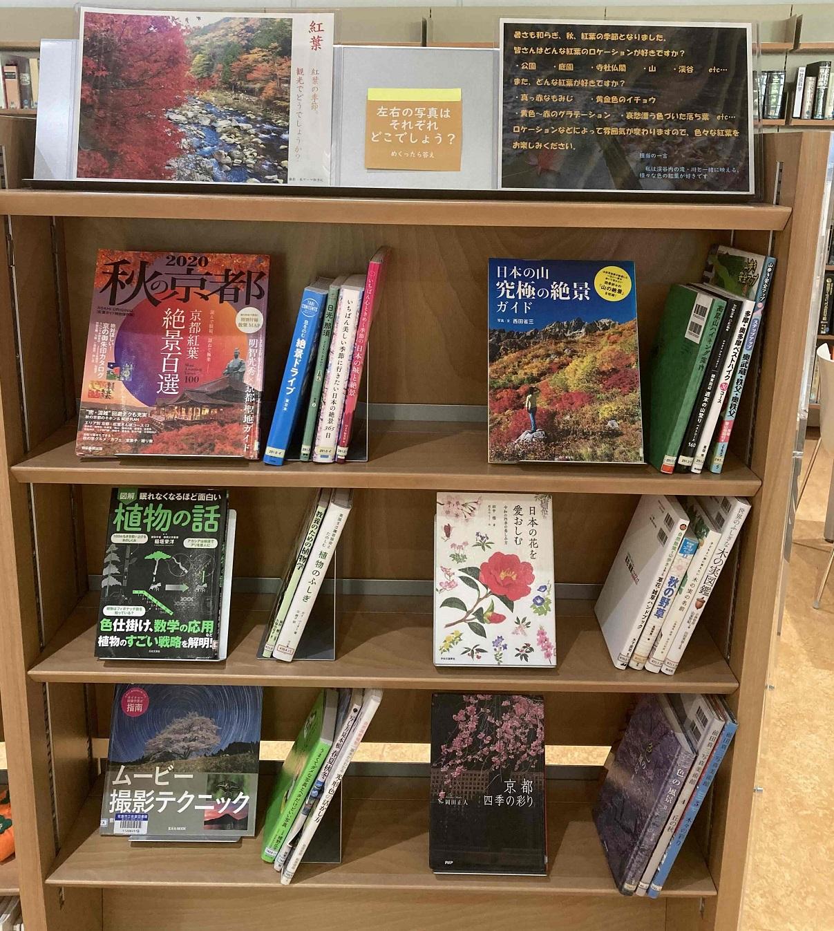テーマ展示「紅葉」