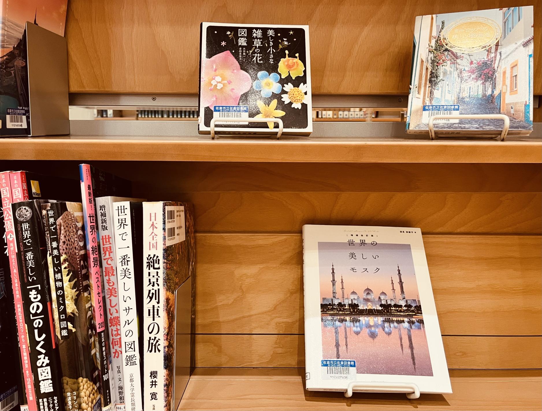 一般向け展示コーナーの画像2