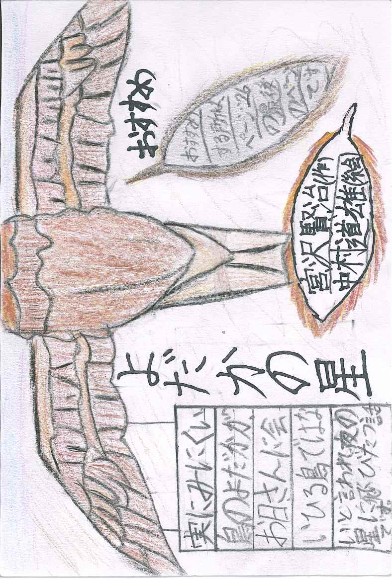 よだかの星