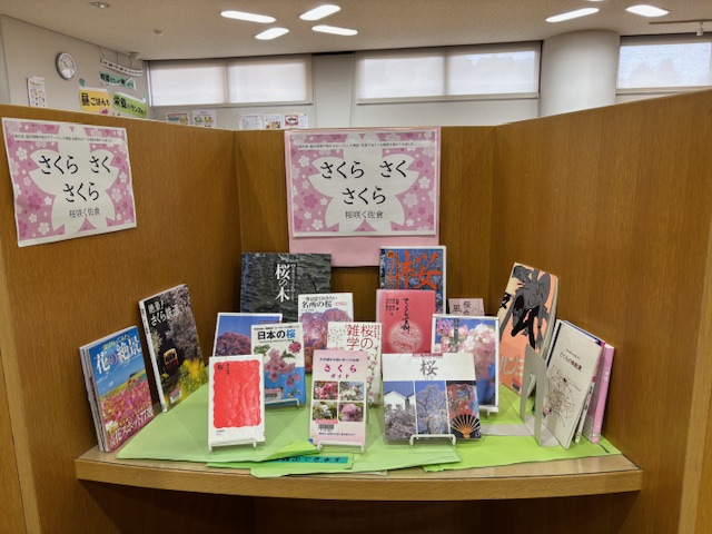 小テーマ展示「さくらさくさくら」