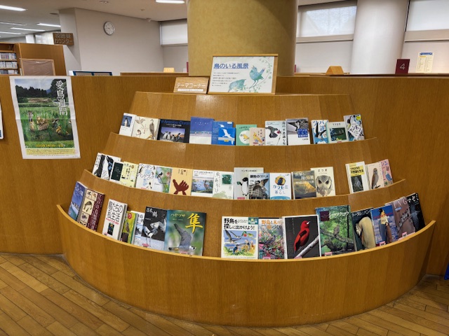 大テーマ展示「鳥のいる風景」