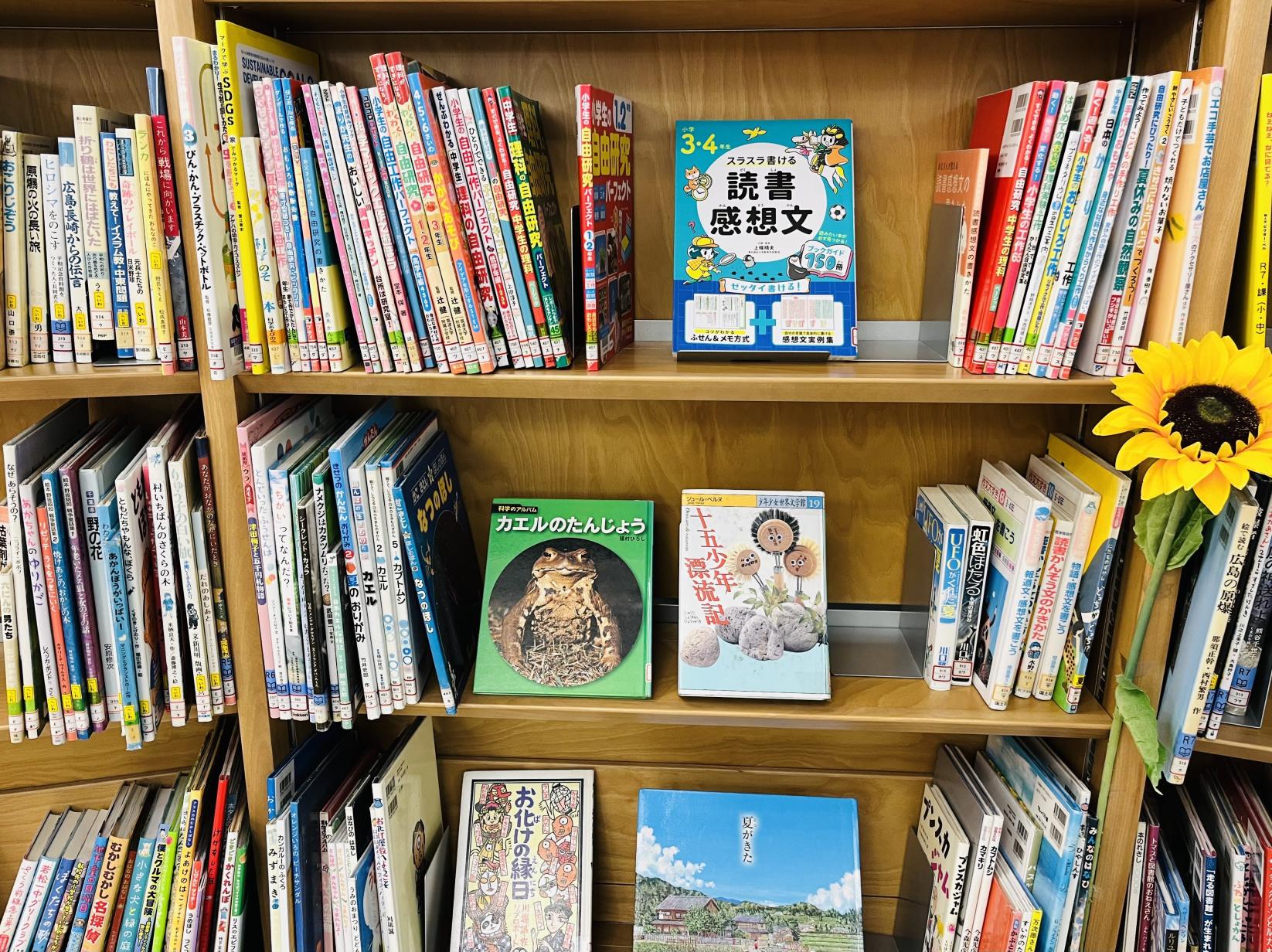 自由研究などの本の棚の画像