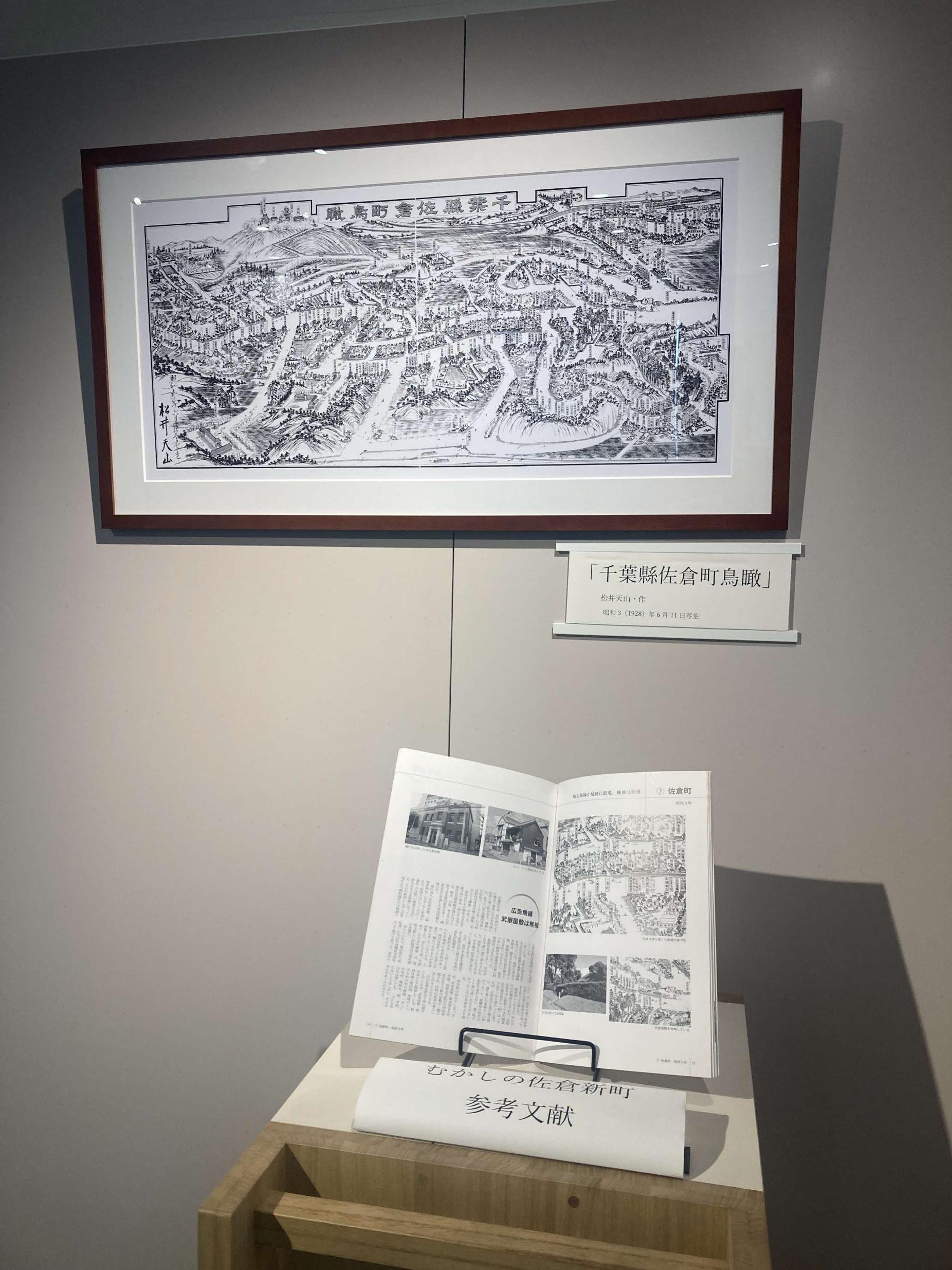 展示の様子