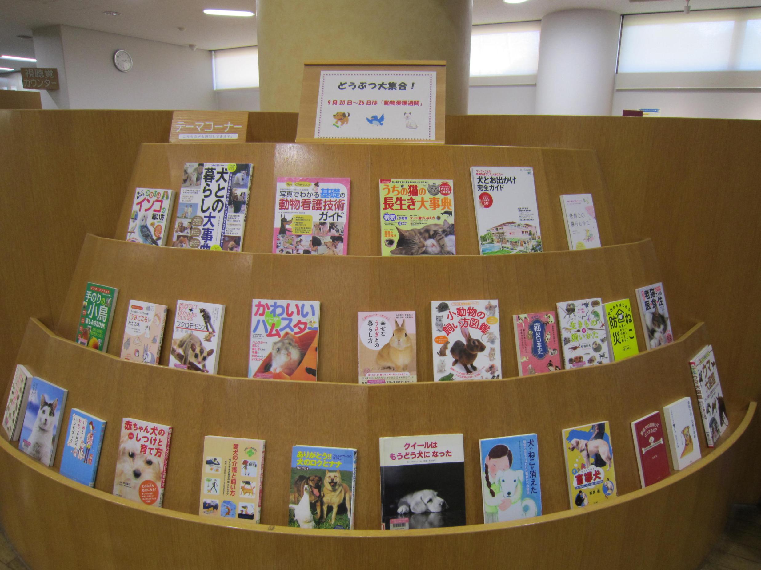 大テーマ展示