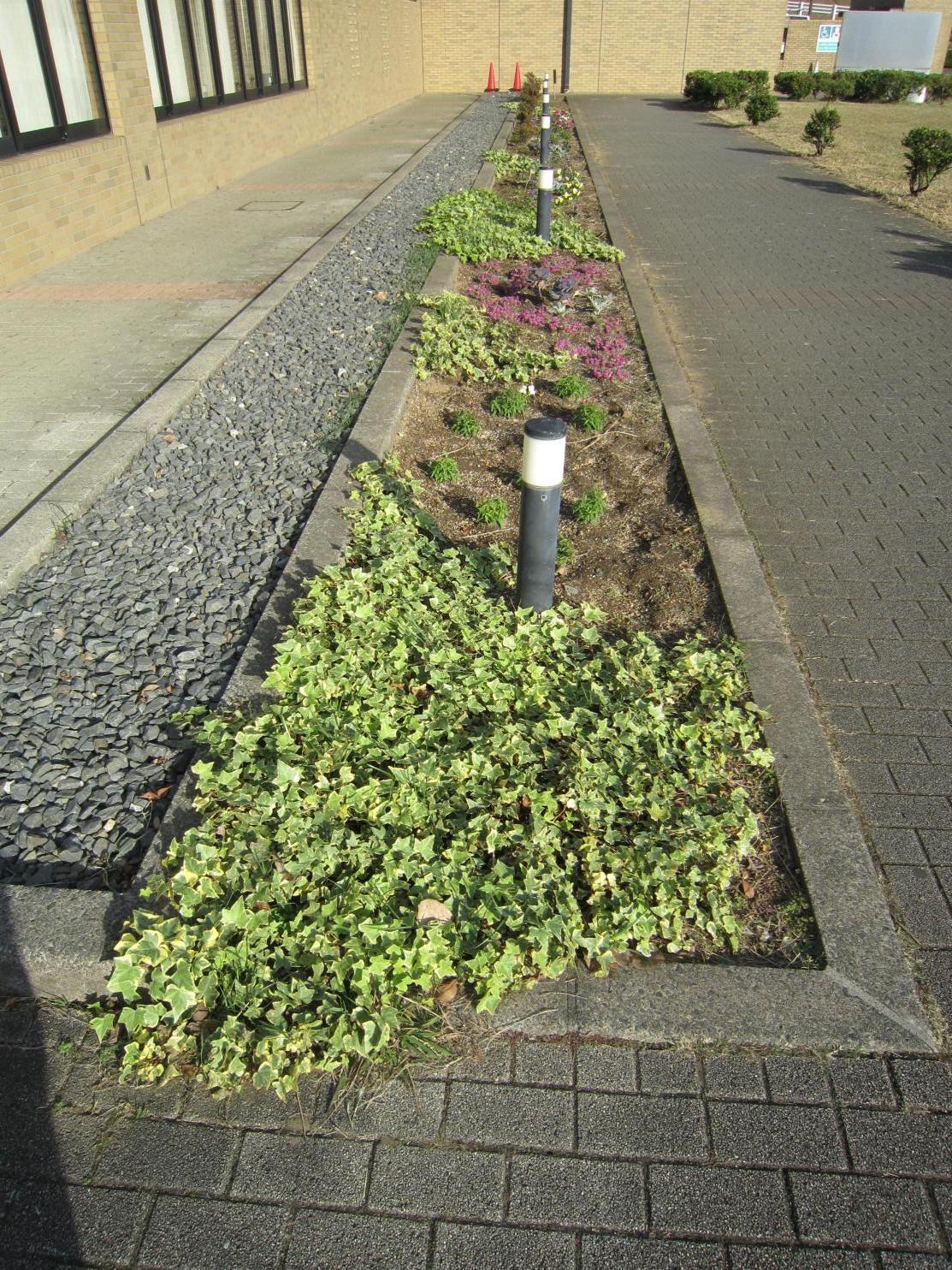 植え付け後の花壇です 植え付け後の花壇です