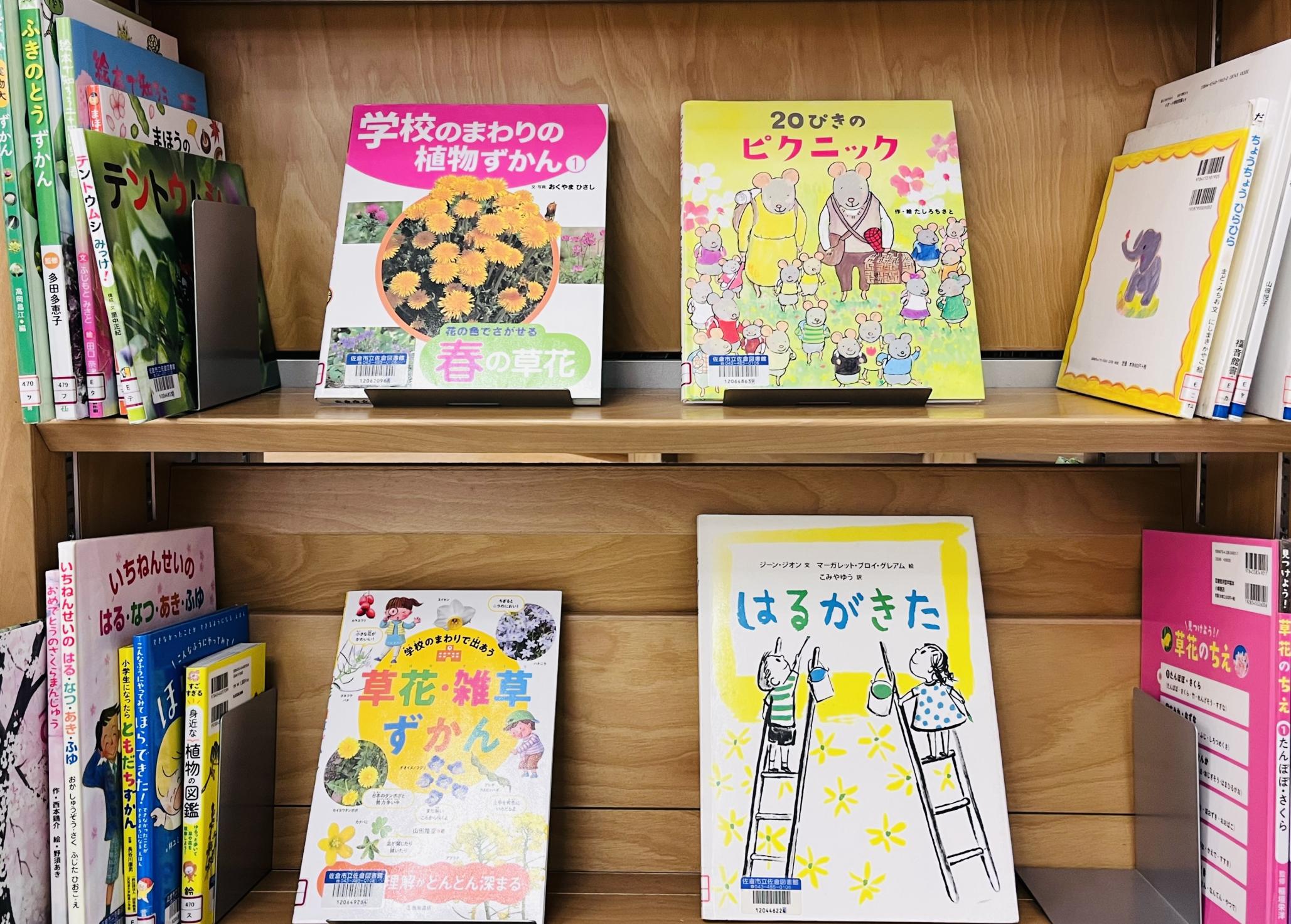 3月児童展示の写真画像2