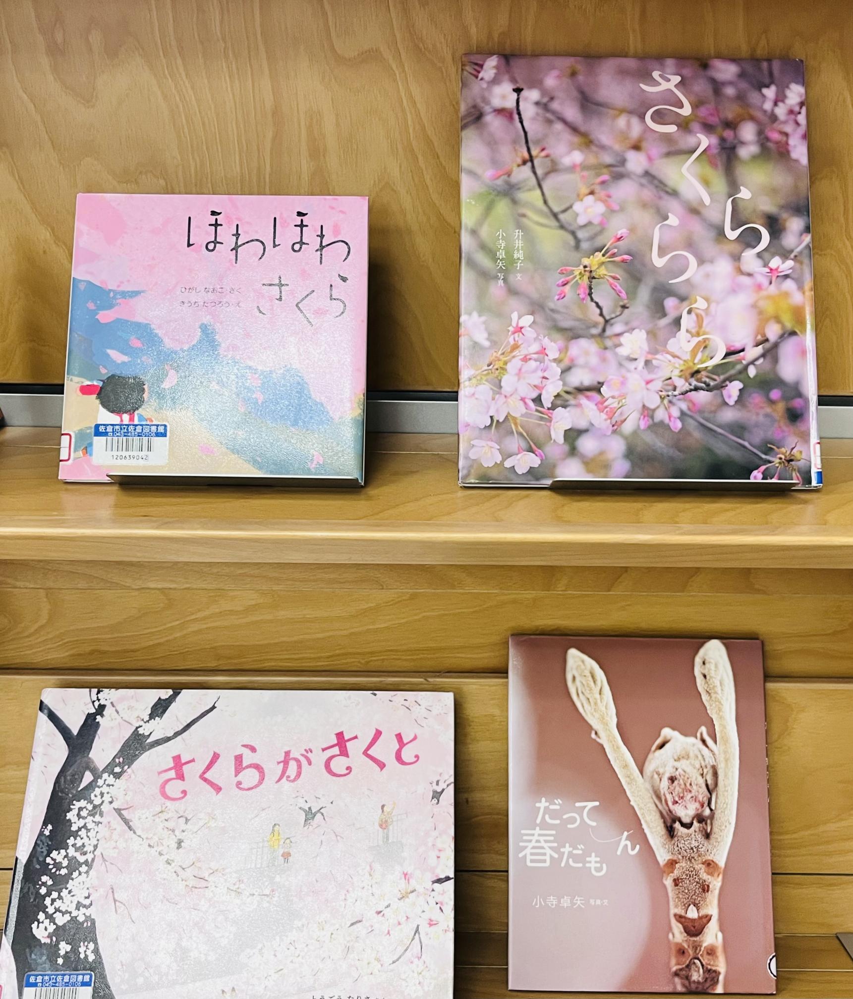 児童展示の写真画像2