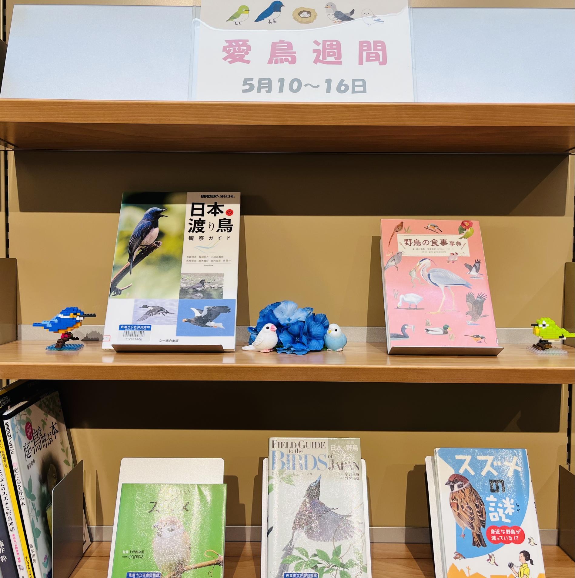 5月展示画像(一般1)