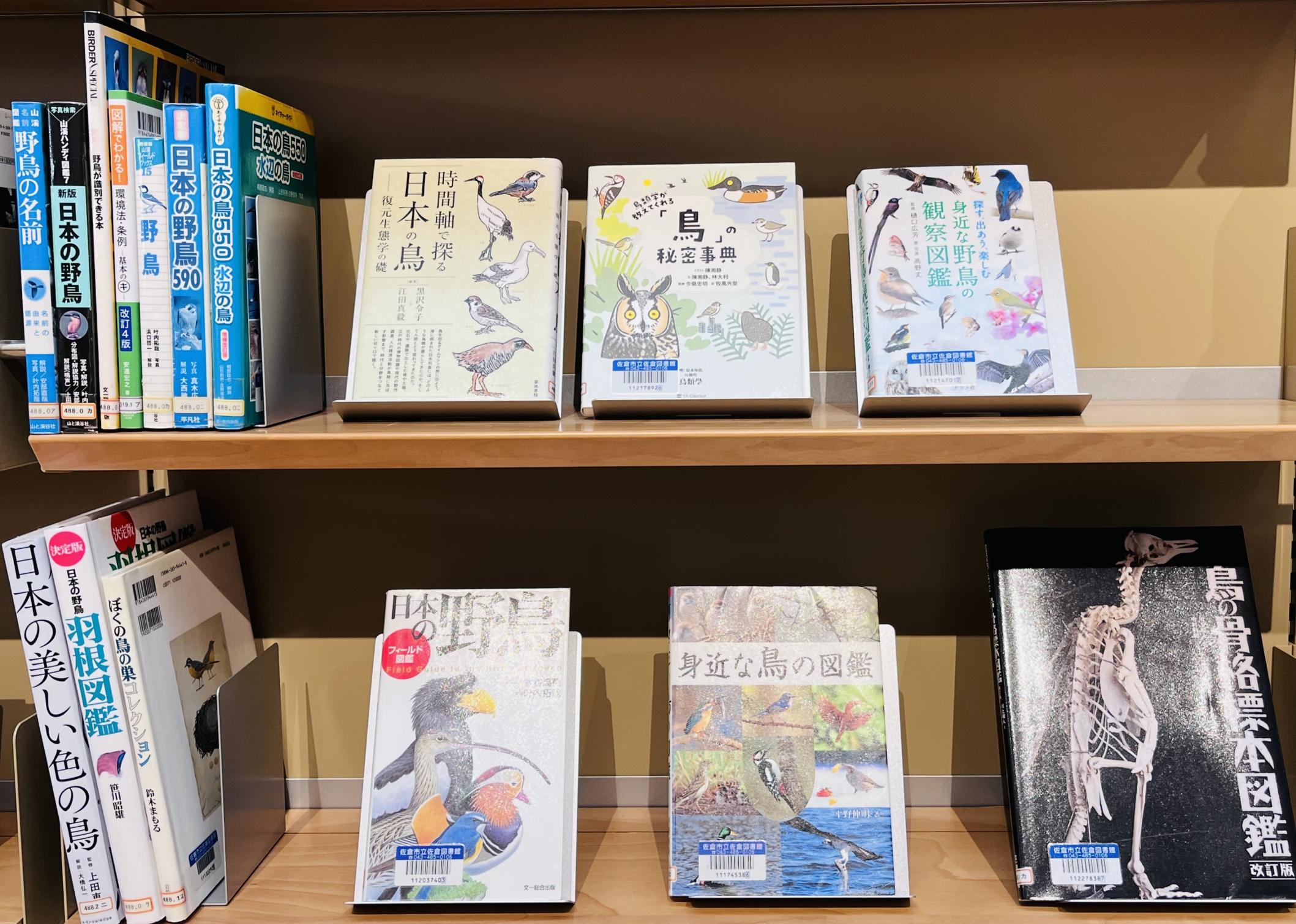 5月展示画像(一般2)