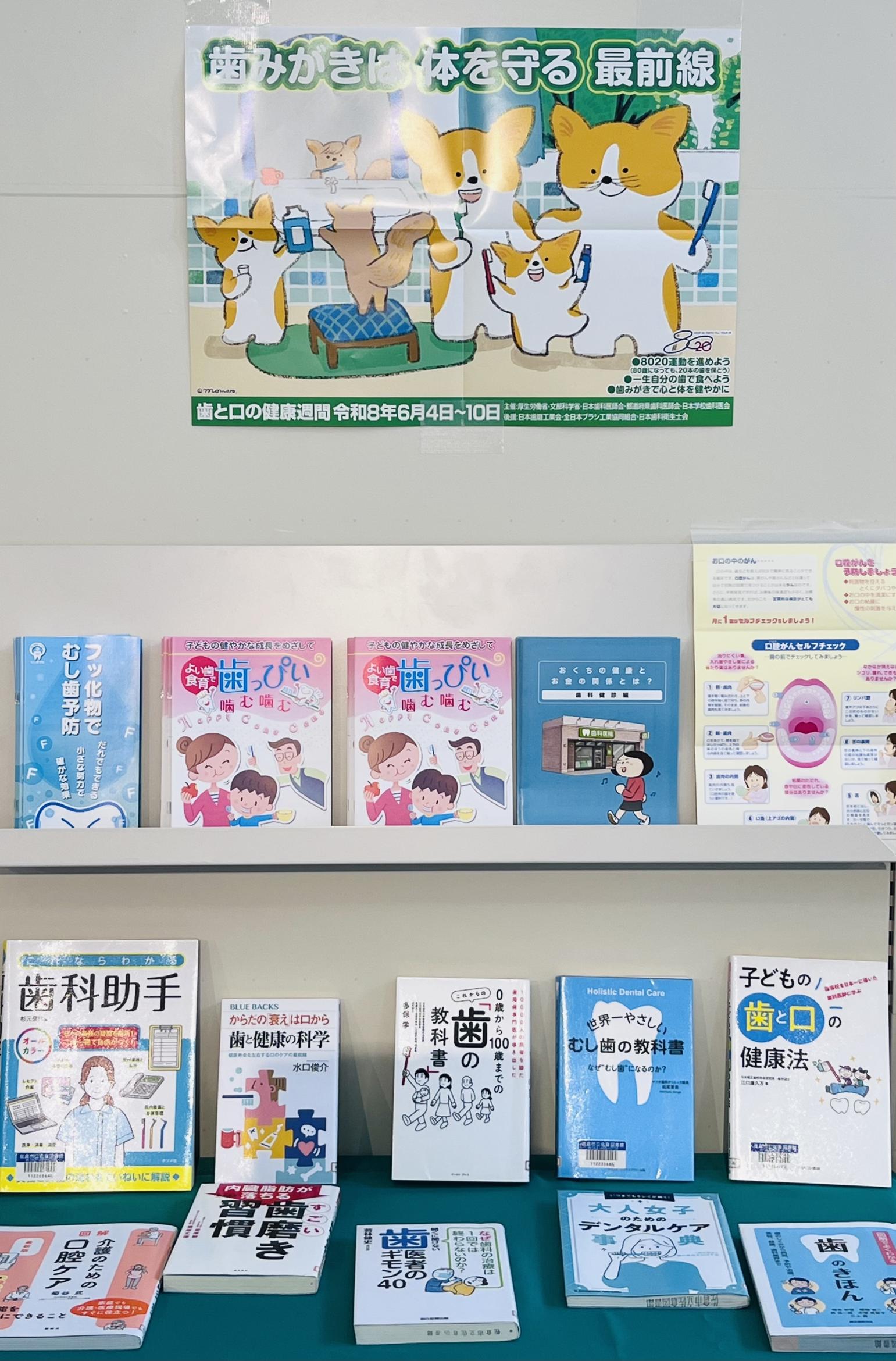 歯に関する展示の画像2