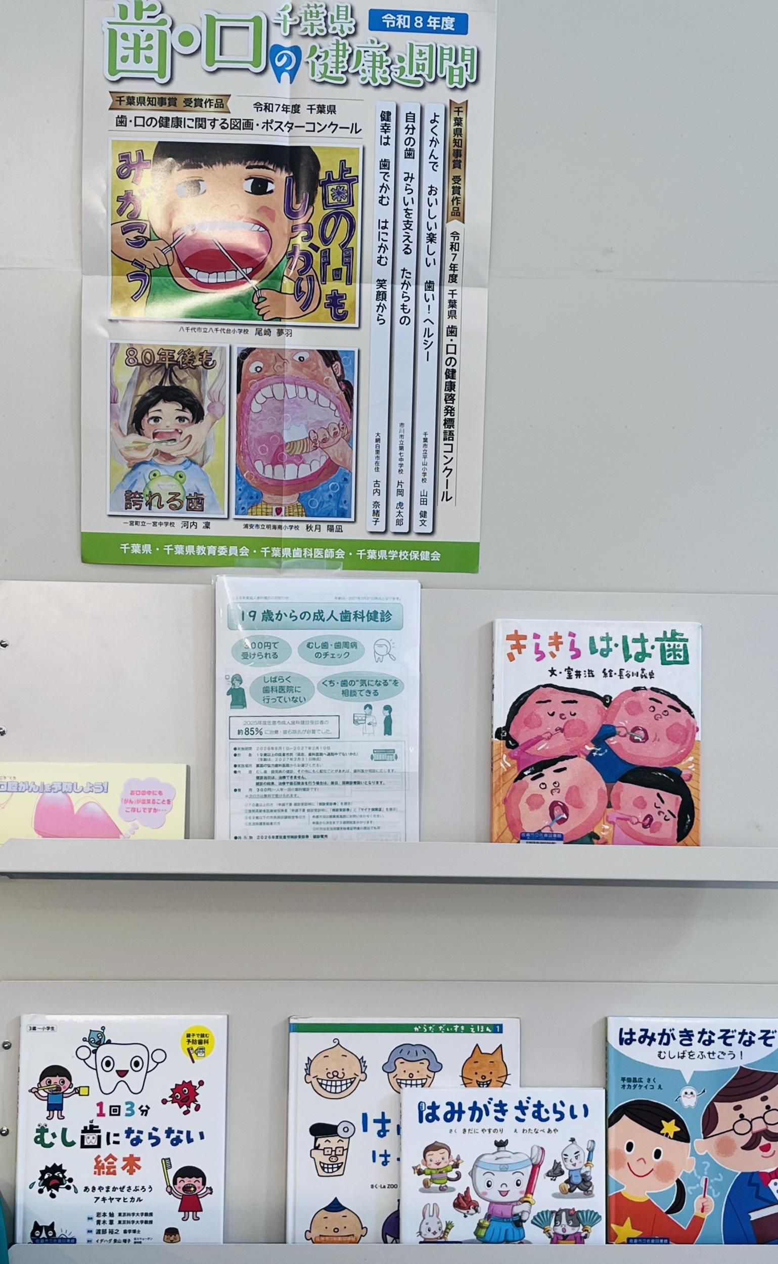 歯に関する展示の画像3