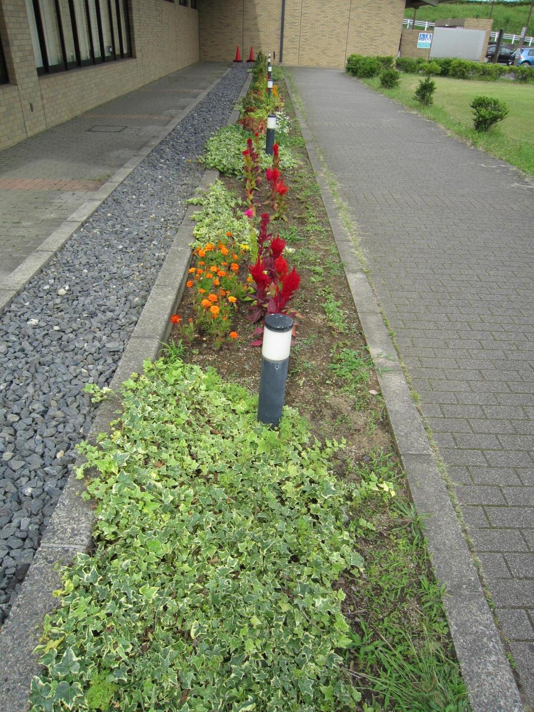 現在の花壇