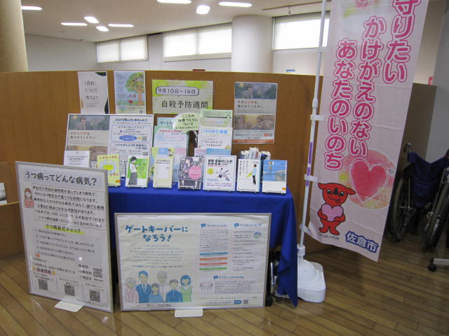 IMG_4544 IMG_4544